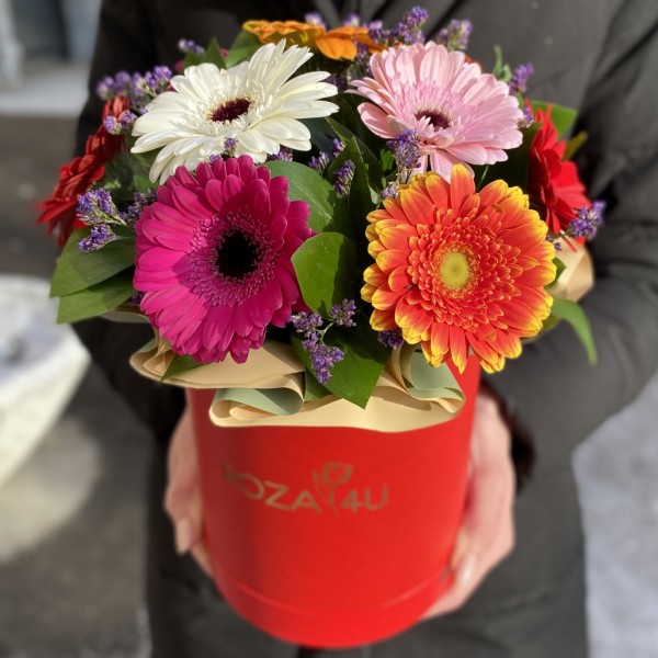 Коробка с герберами мини