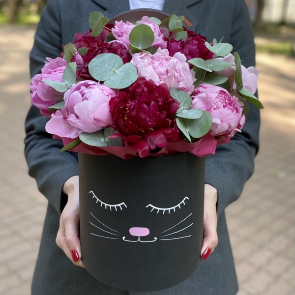 Композиция Кошечка с пионами