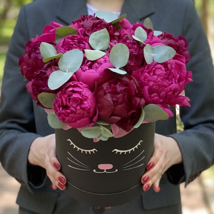 Композиция Кошечка с яркими пионами