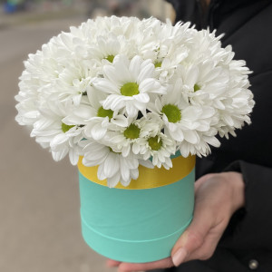Купить цветы хризантемы комнатные цветы с доставкой