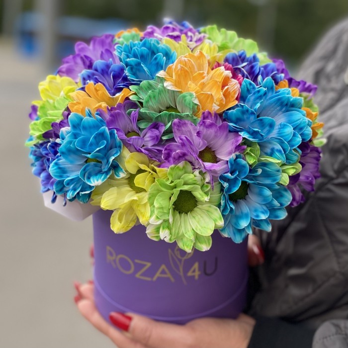 Фиолетовая коробка радужных хризантем