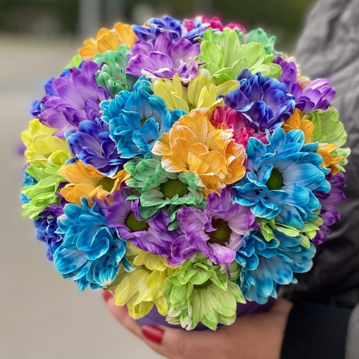 Фиолетовая коробка радужных хризантем