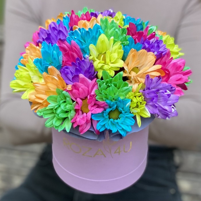Лиловая коробка радужных хризантем