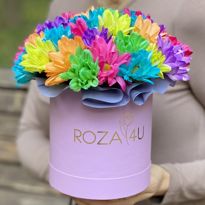 Лиловая коробка радужных хризантем