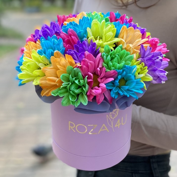Лиловая коробка радужных хризантем