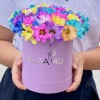 Лиловая коробка радужных хризантем