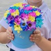 Голубая коробка радужных хризантем