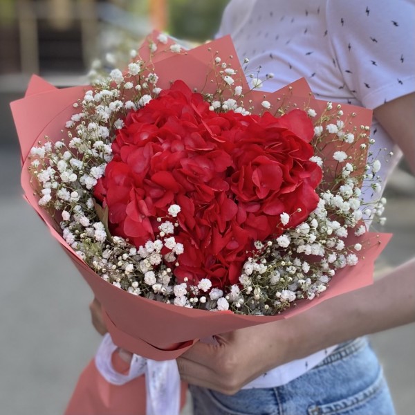 Красная гортензия с гипсофилой