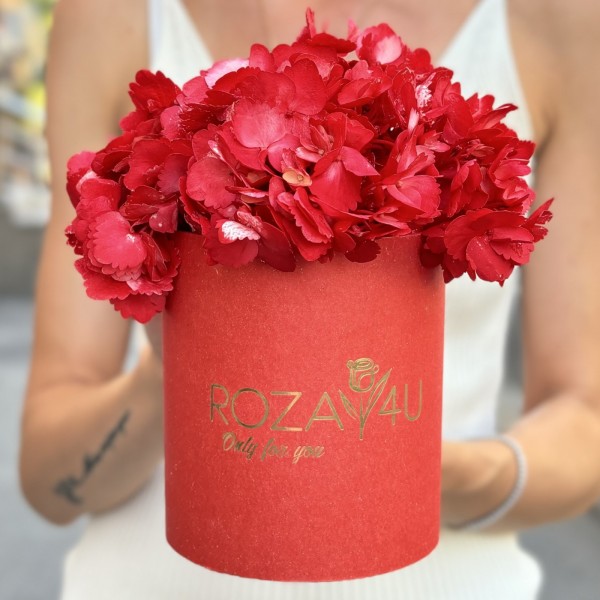 Красная гортензия в коробке