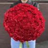 100 красных гвоздик