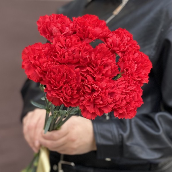 10 красных гвоздик