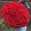 200 красных гвоздик