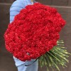 200 красных гвоздик с черной лентой
