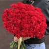 50 красных гвоздик