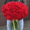 80 красных гвоздик