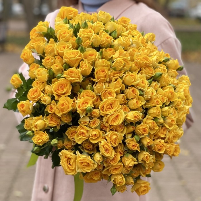 Кустовая жёлтая  роза
