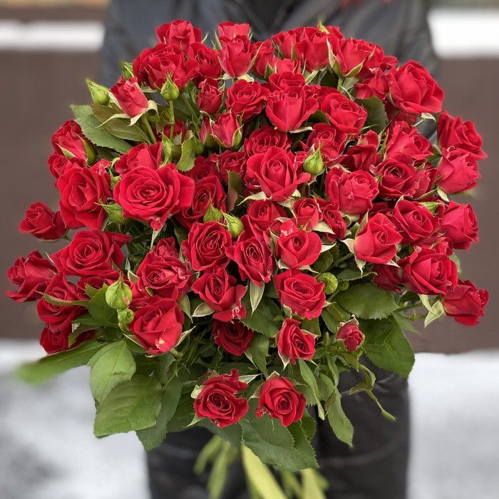 Кустовая красная роза Рубикон 80 см