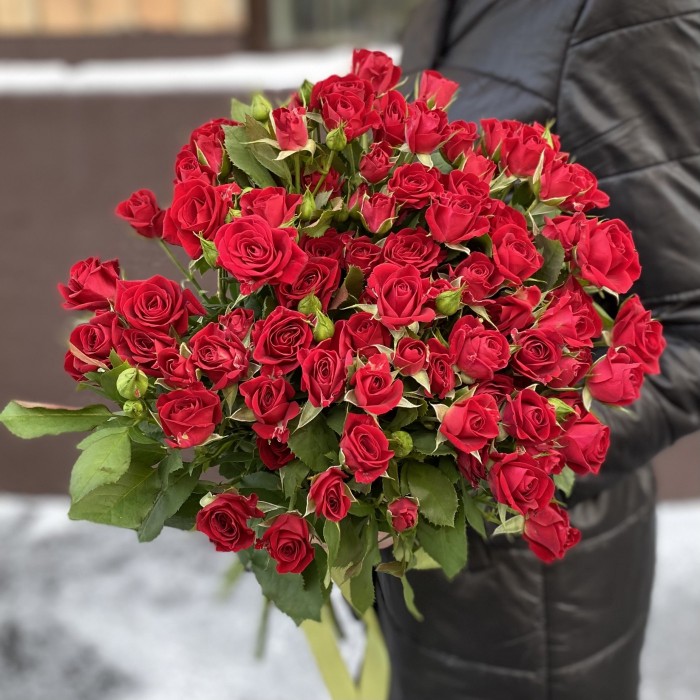 Кустовая красная роза Рубикон 80 см