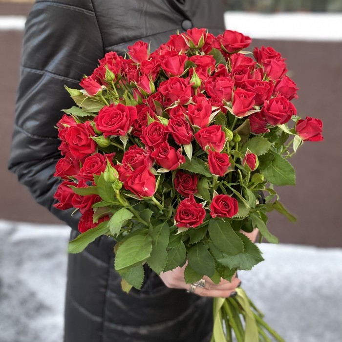 Кустовая красная роза Рубикон 80 см