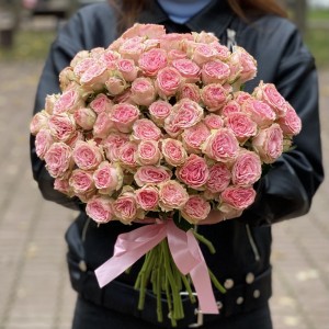 Кустовая роза Baby Follies