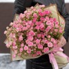 25 кустовых розовых роз Джипси 50 см