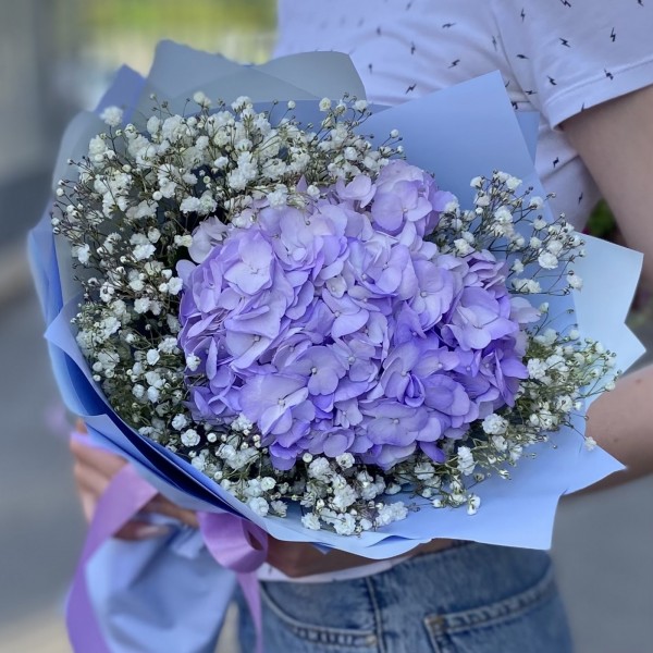 Лавандовая гортензия с гипсофилой