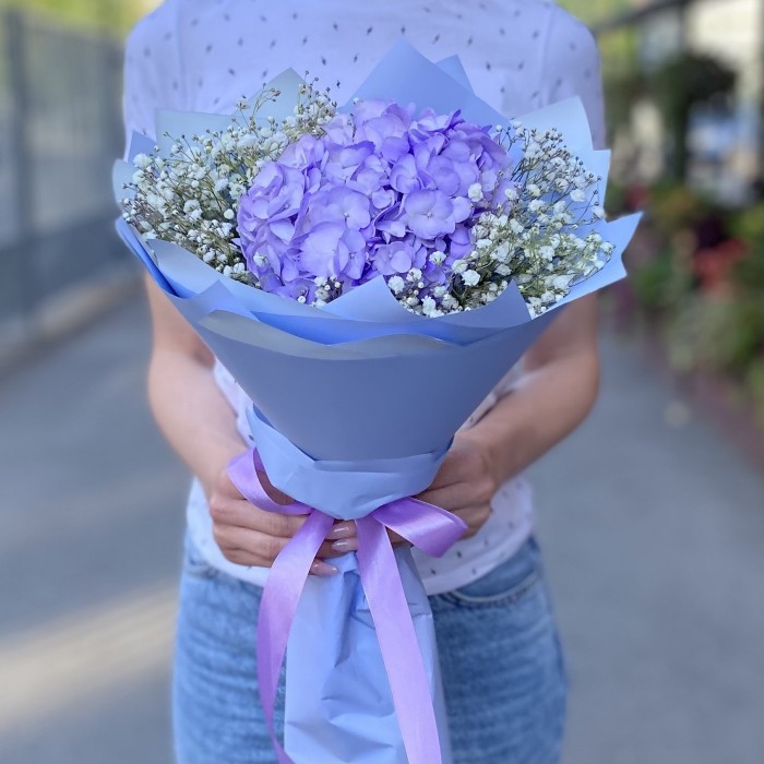 Лавандовая гортензия с гипсофилой