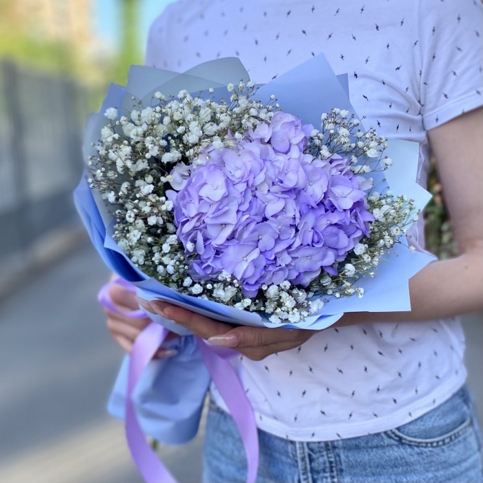 Лавандовая гортензия с гипсофилой