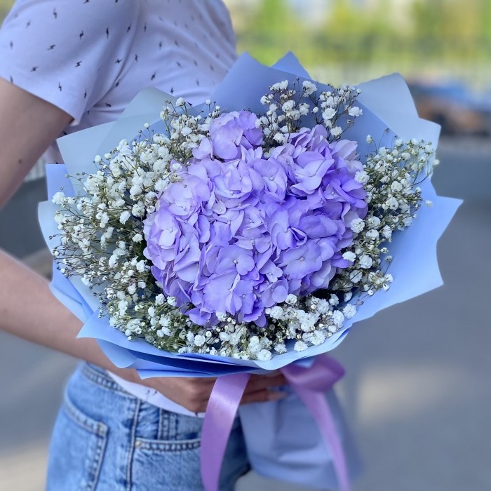 Лавандовая гортензия с гипсофилой
