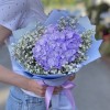 Лавандовая гортензия с гипсофилой