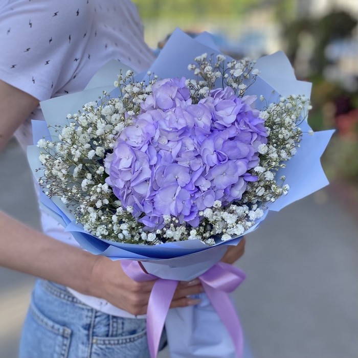 Лавандовая гортензия с гипсофилой