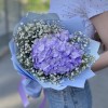 Лавандовая гортензия с гипсофилой