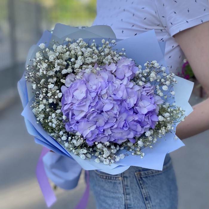 Лавандовая гортензия с гипсофилой