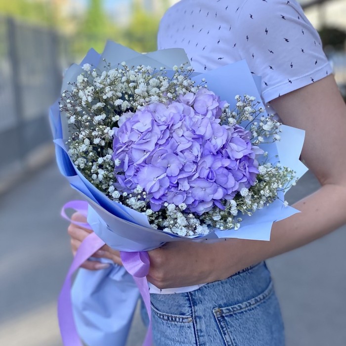 Лавандовая гортензия с гипсофилой