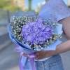 Лавандовая гортензия с гипсофилой