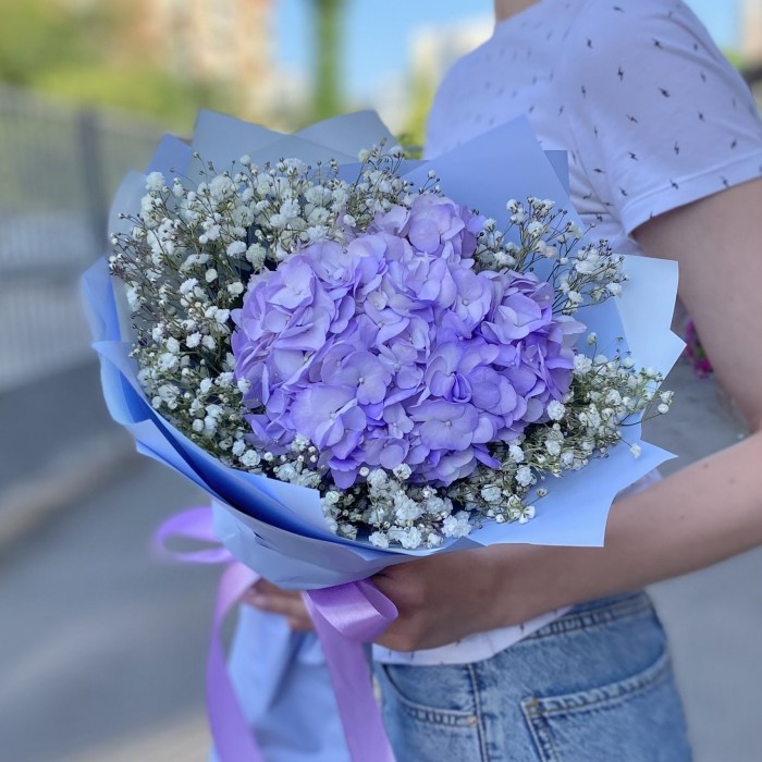 Лавандовая гортензия с гипсофилой
