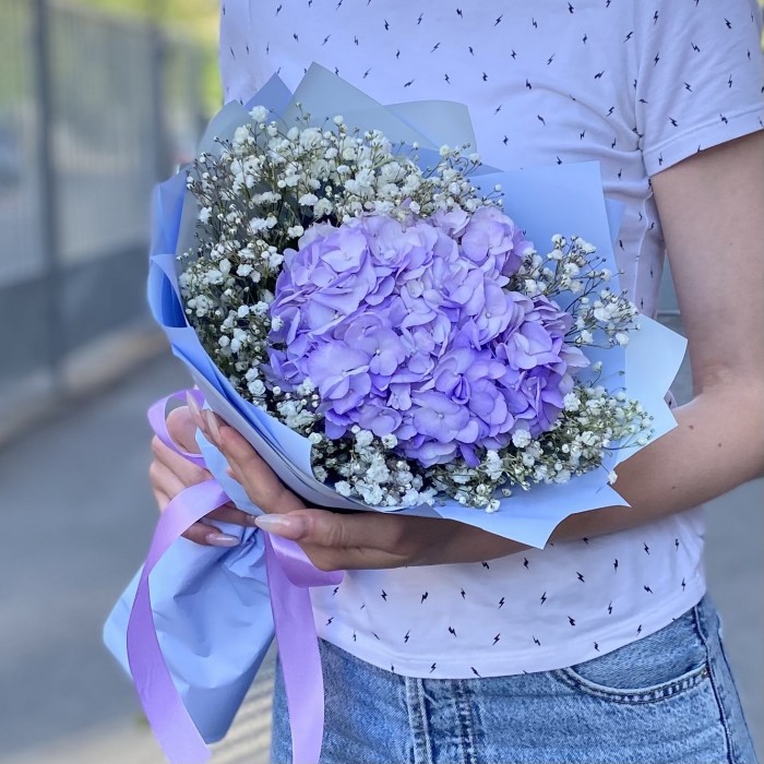 Лавандовая гортензия с гипсофилой