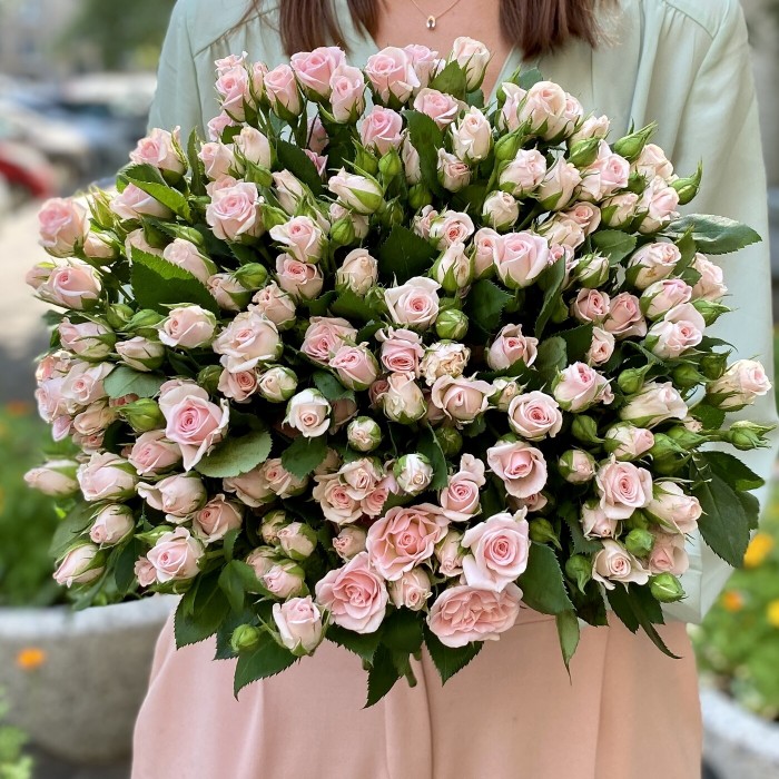 Нежно розовая кустовая роза