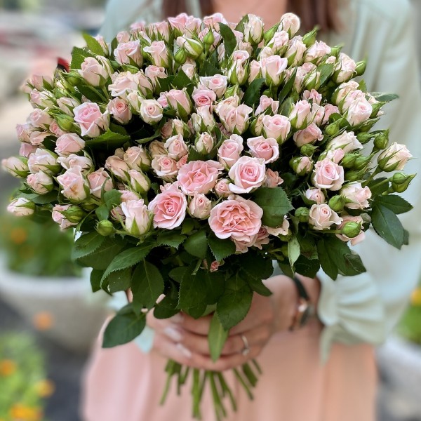 Нежно розовая кустовая роза