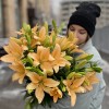 Лилия Азиатка оранжевая