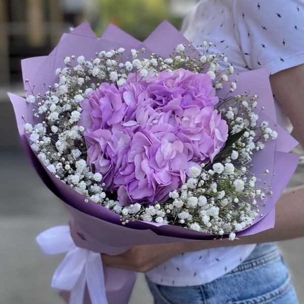 Лиловая гортензия с гипсофилой