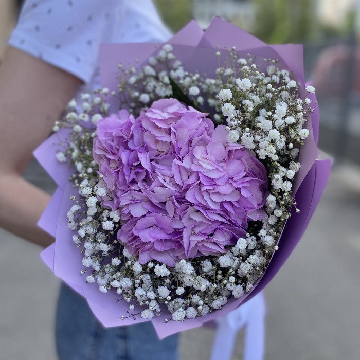 Лиловая гортензия с гипсофилой