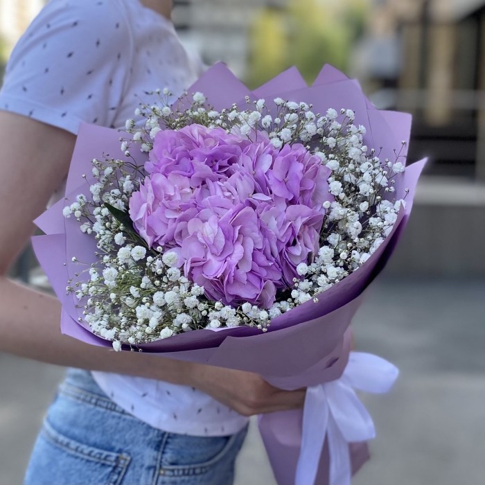 Лиловая гортензия с гипсофилой
