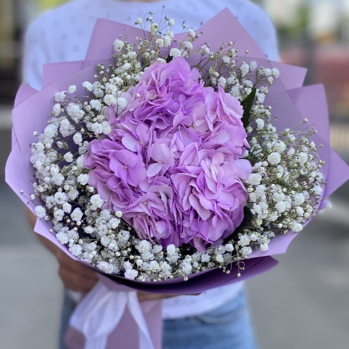 Лиловая гортензия с гипсофилой