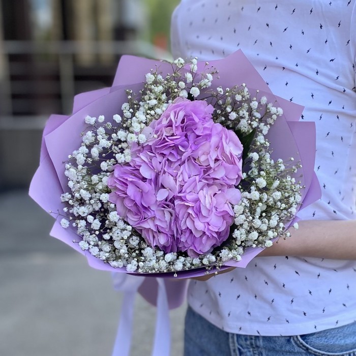 Лиловая гортензия с гипсофилой