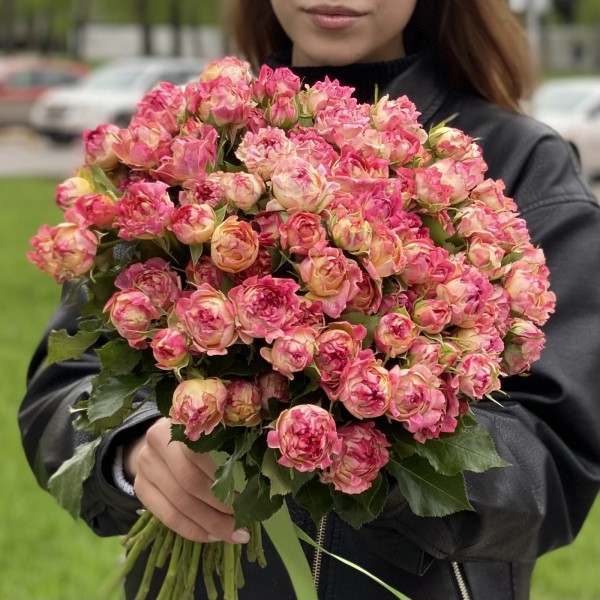 Роза кустовая Лотус