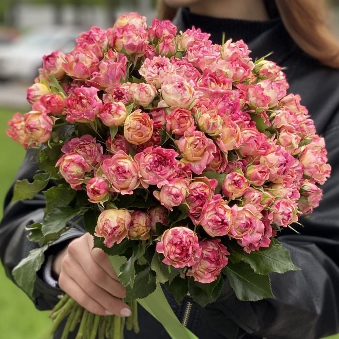 Роза кустовая Лотус