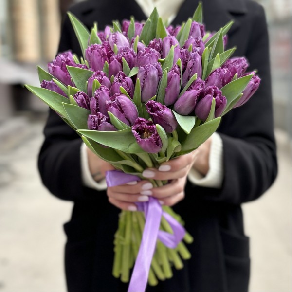 Тюльпан махровый фиолетовый Мадженто