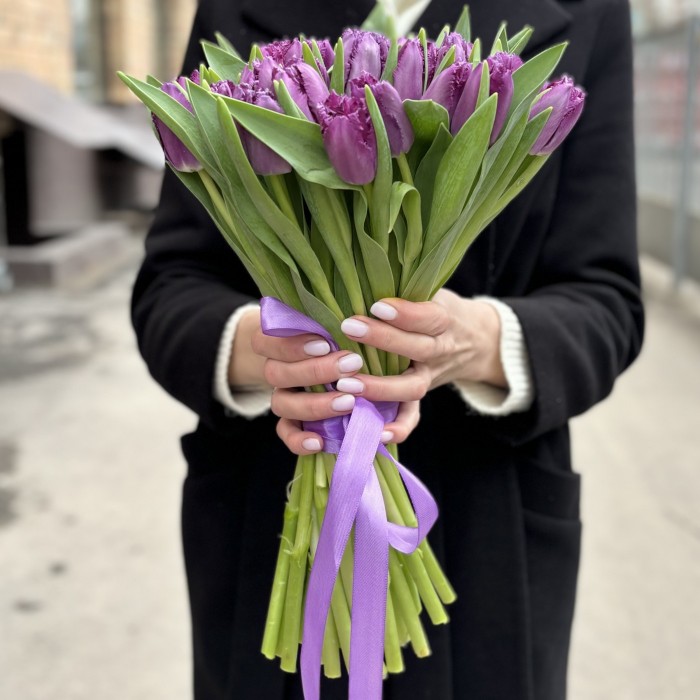 Тюльпан махровый фиолетовый Мадженто