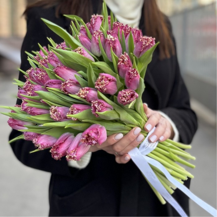 Махровый темно-розовый тюльпан Кэти Милуа